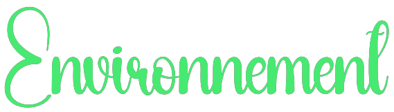 texte environnement